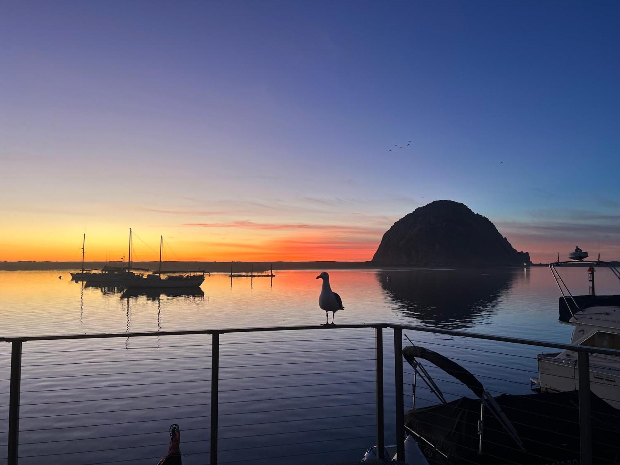 Harborwalk Inn Morro Bay Eksteriør bilde